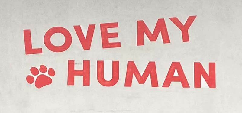 Sign at Love My Human shop on King's Road in Chelsea